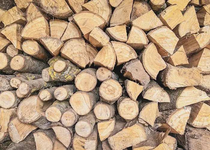 شقة Majordoms - Blanc De *